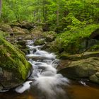 Die Ilse im Harz