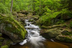 Die Ilse im Harz