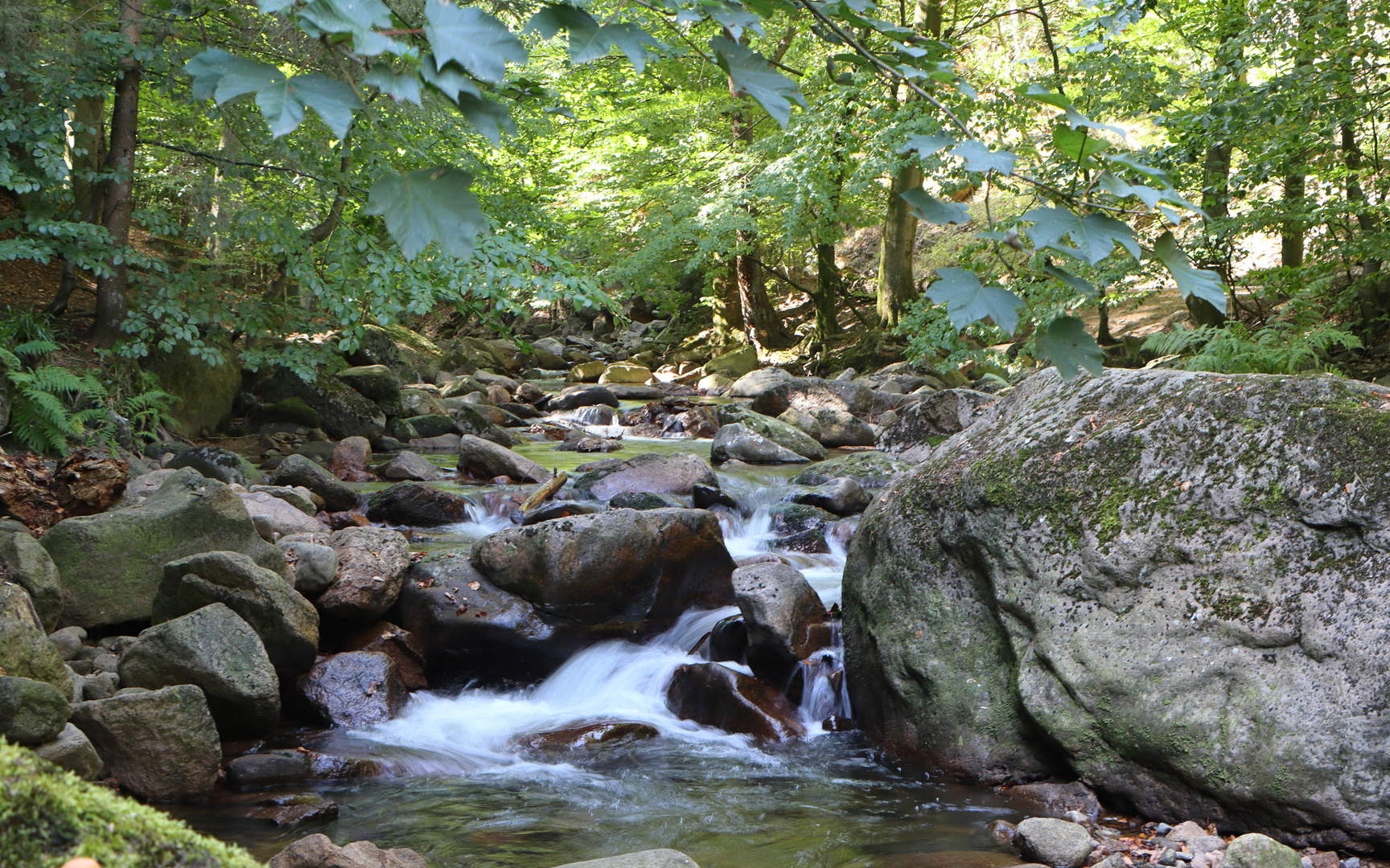 Die Ilse im Ilsetal / Harz