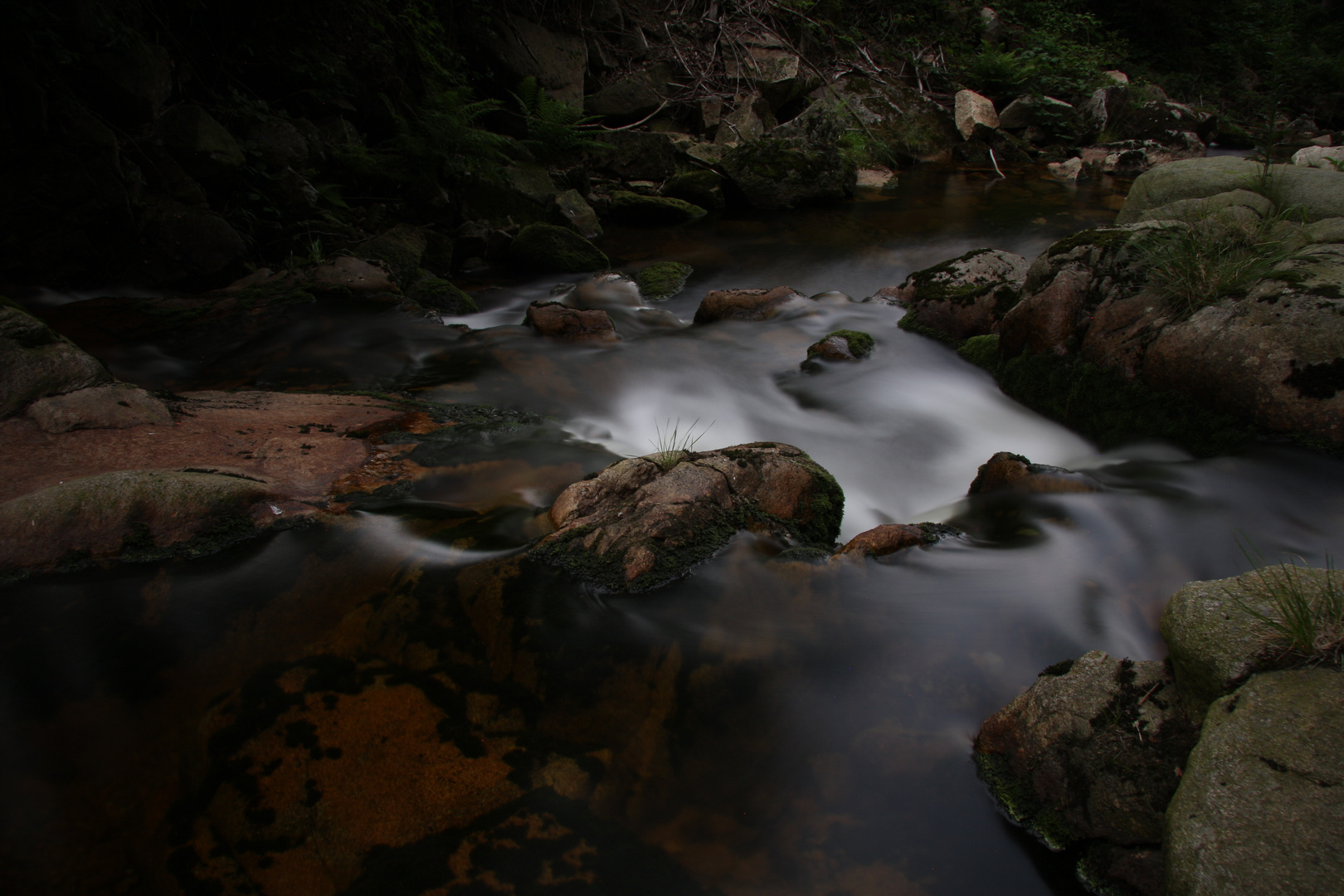 Die Ilse im Nationalpark Harz