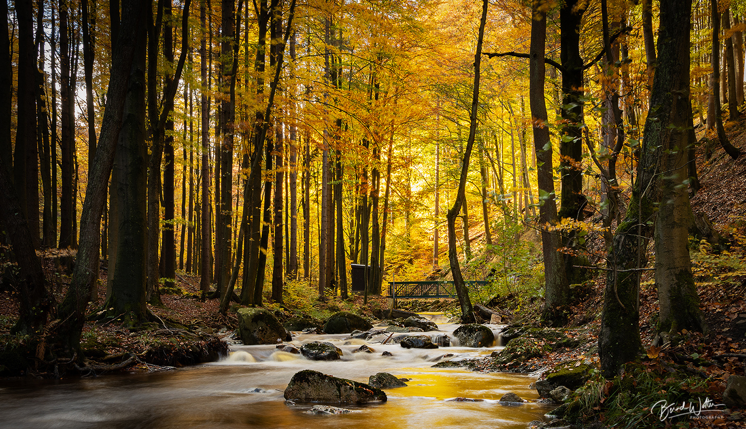 Die Ilse im Nationalpark Harz