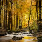 Die Ilse im Nationalpark Harz