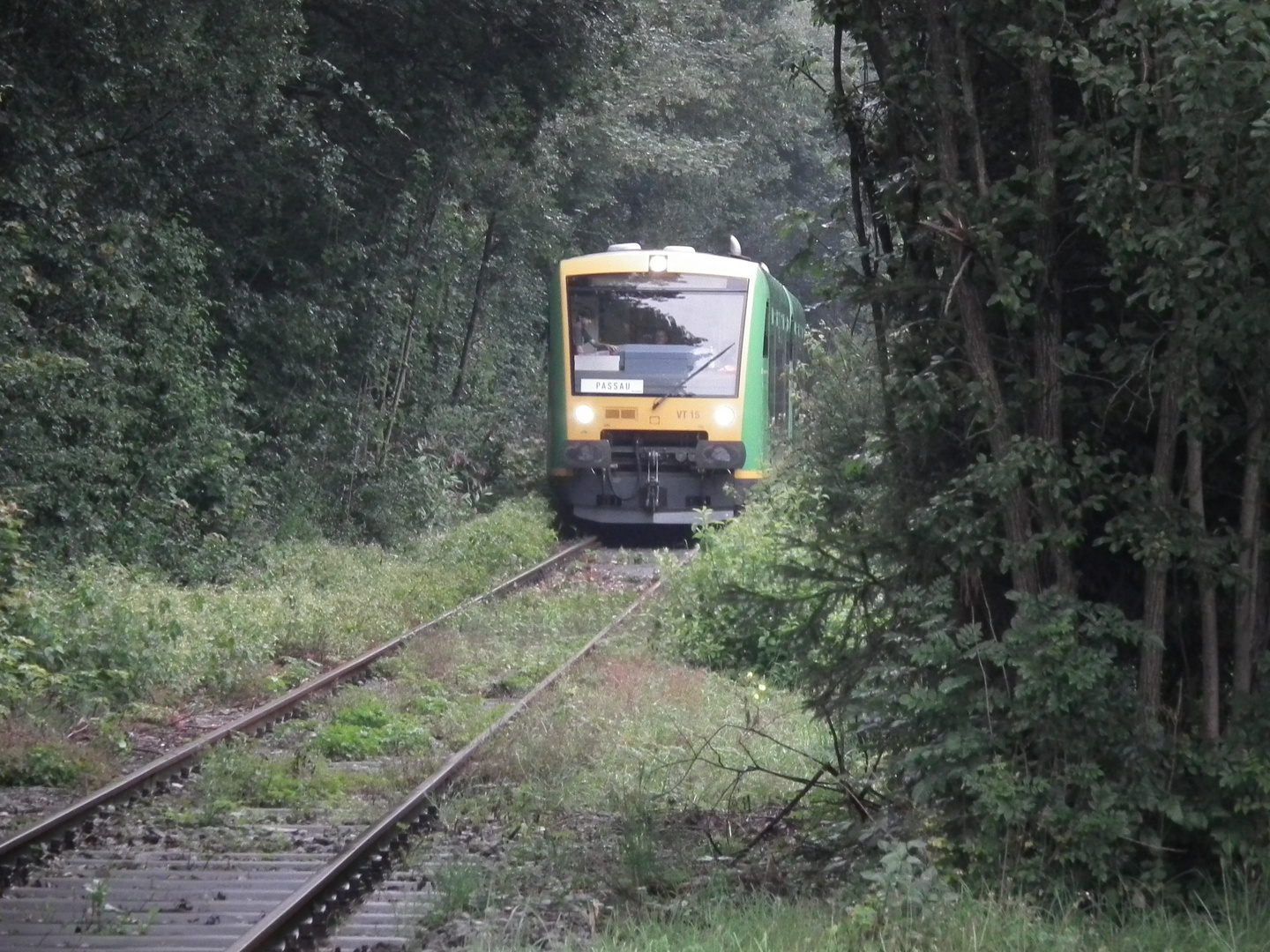 Die Ilztalbahn fährt wieder