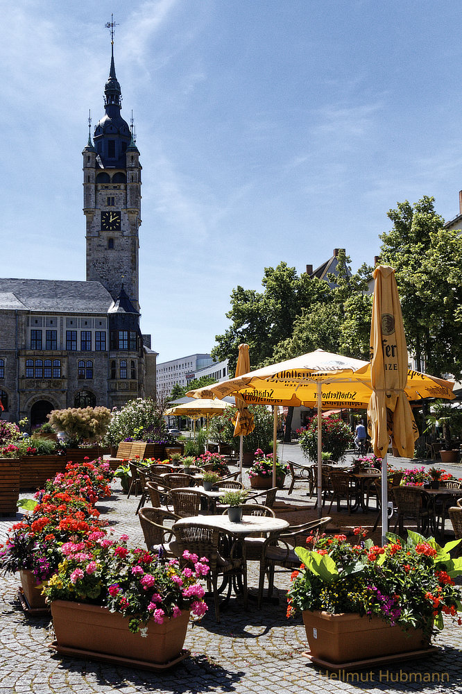 DIE IM SCHATTEN SITZEN, HABEN GUT KLUG GEWÄHLT.