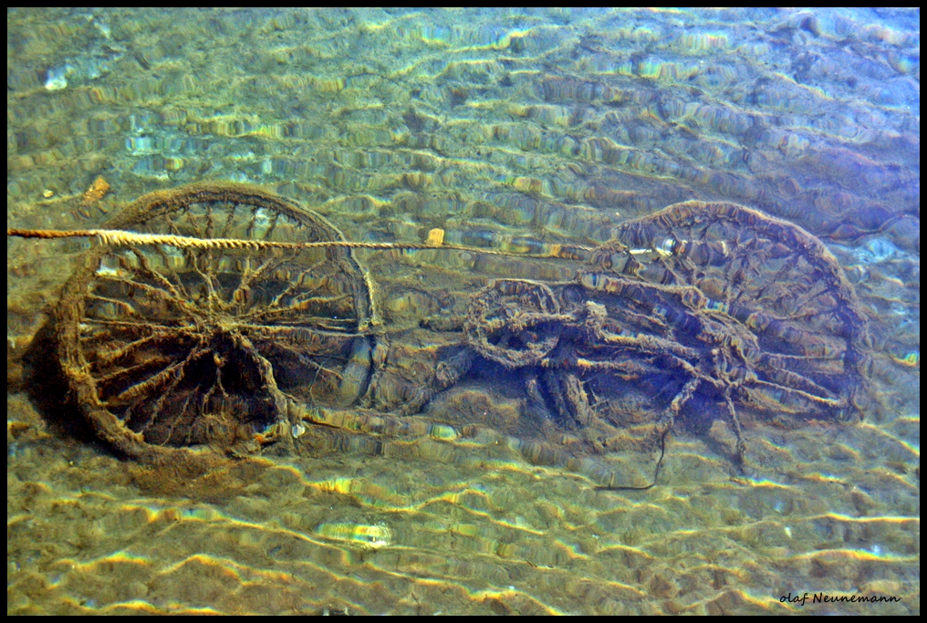 Die im Wasser gebliebenen