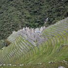 Die Inkastätte Winaywayna liegt auf 2740 m Höhe