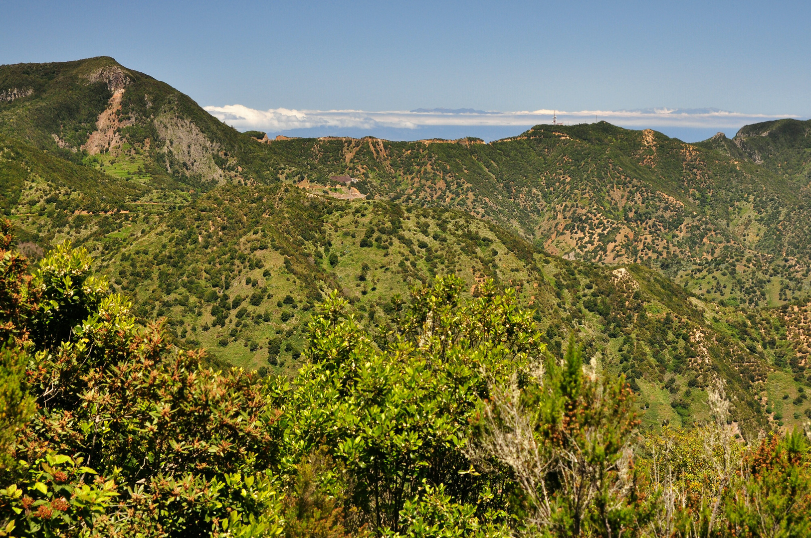 Die Insel auf dem Berge - La Palma