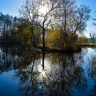 Die Insel auf dem Teich