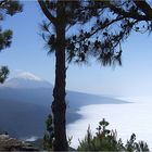 "Die Insel der Glückseligen" Teide-Teneriffe