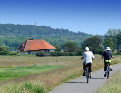 Die Insel der Herzen