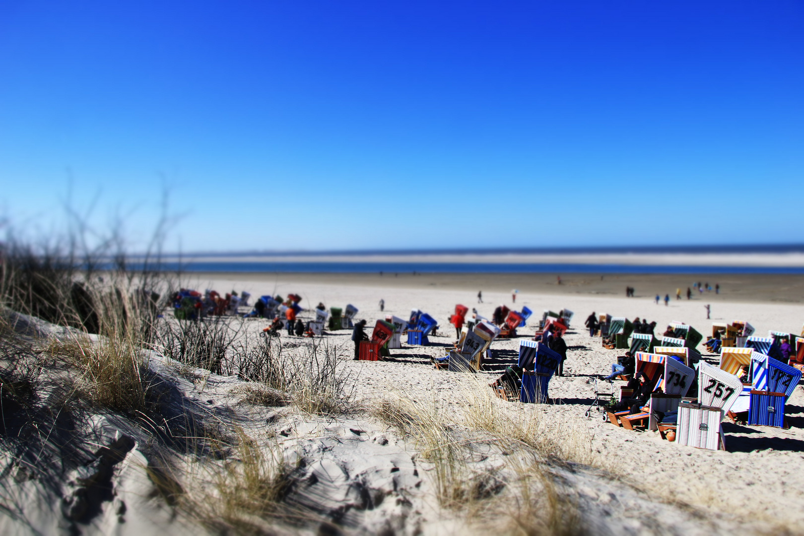 Die Insel fürs Leben - Langeoog