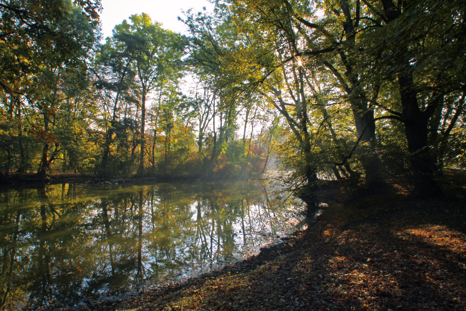 Die Insel im Morgenlicht