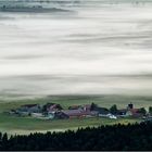 Die Insel im Nebel