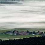 Die Insel im Nebel