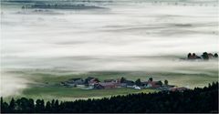 Die Insel im Nebel