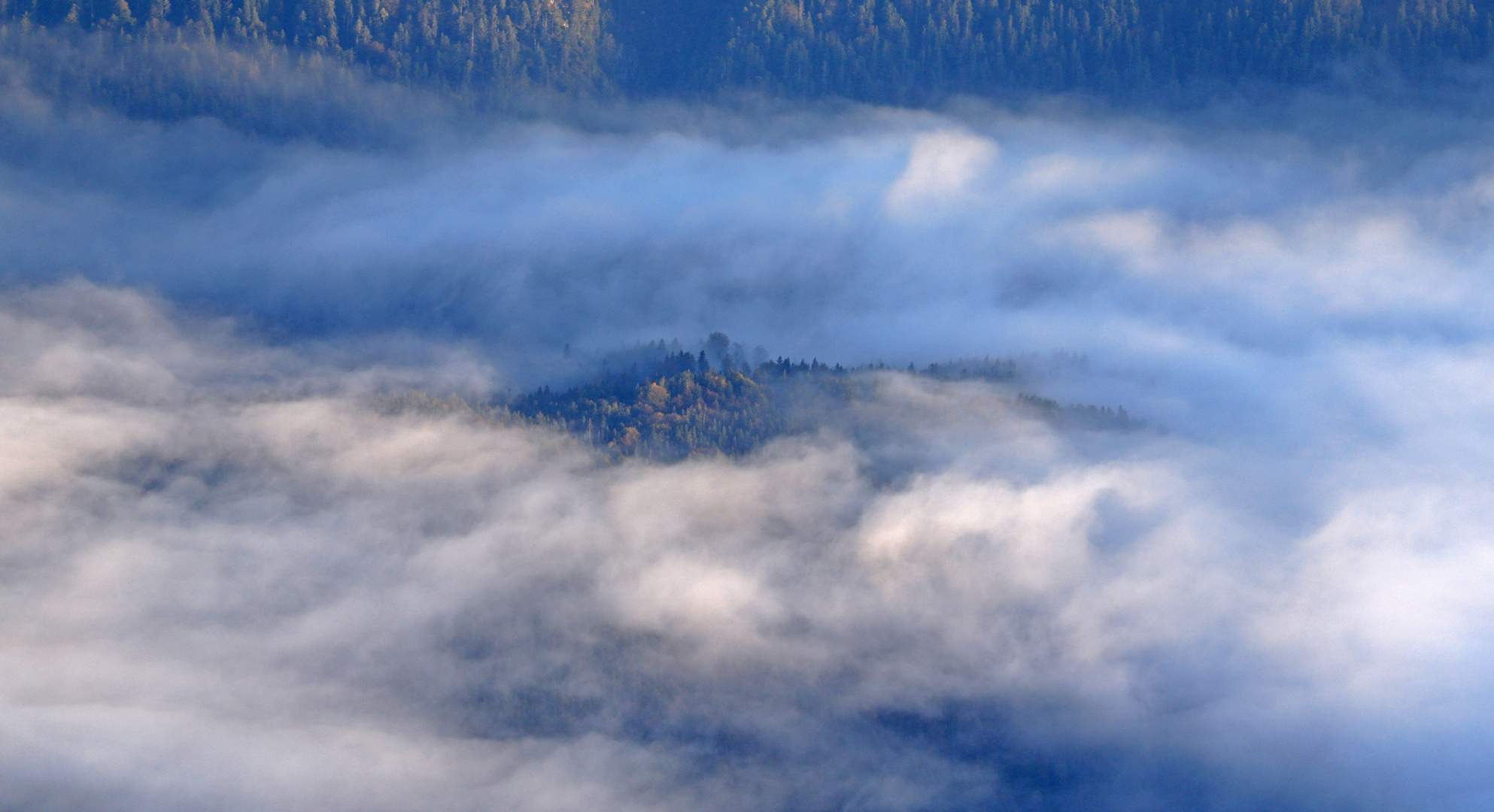 Die Insel im Nebel