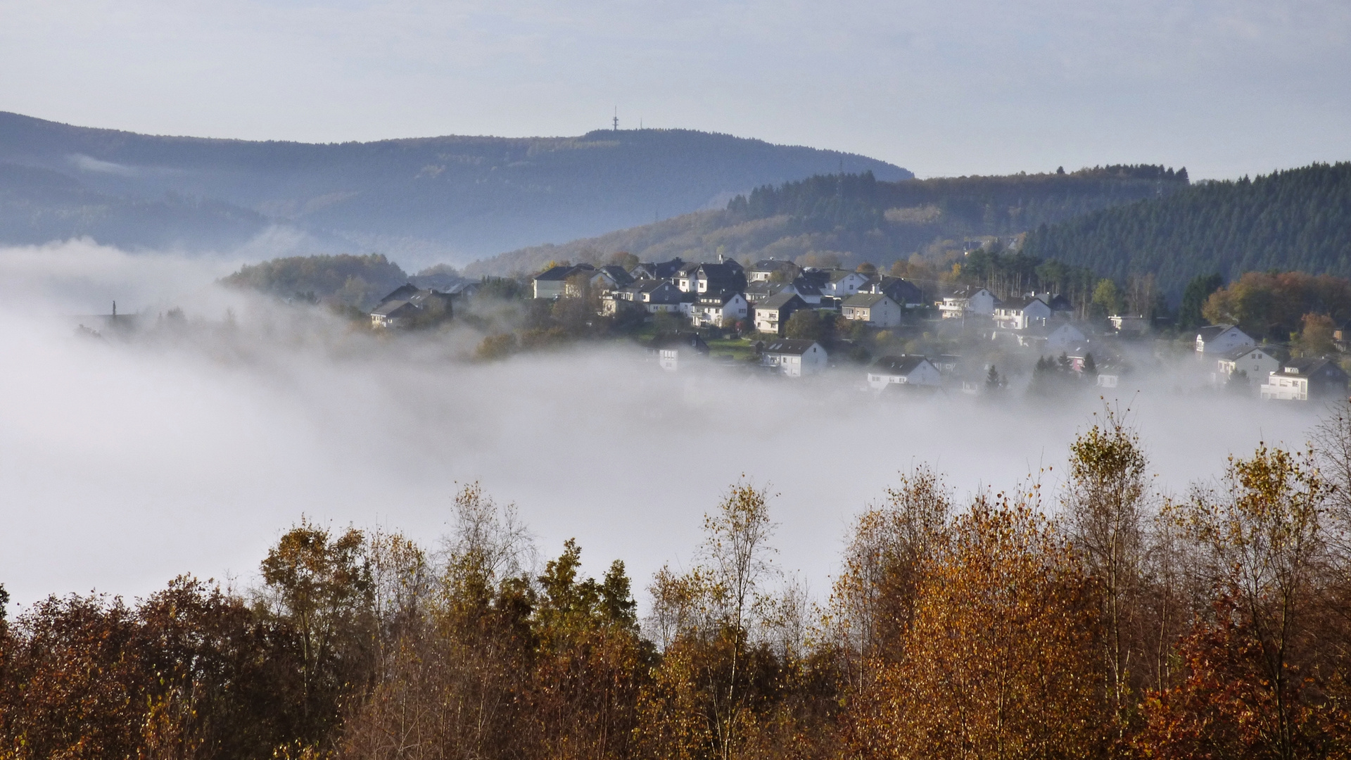 die Insel im Nebel