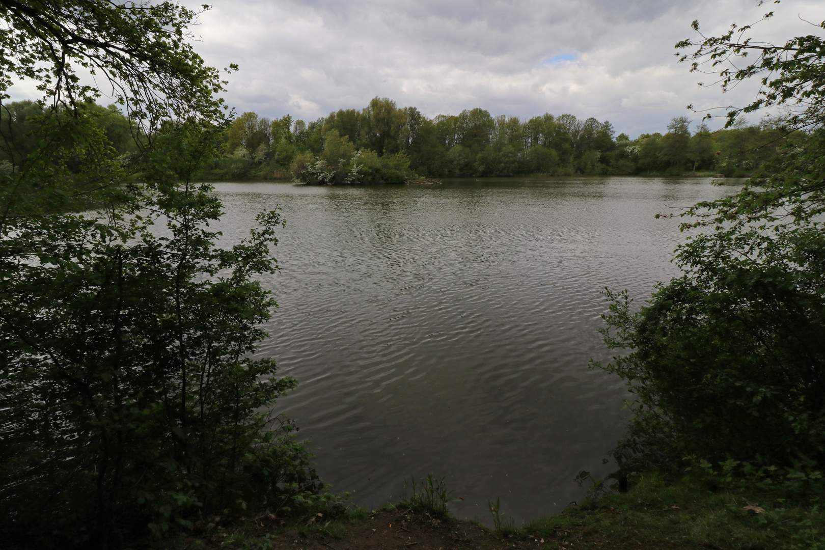 Die Insel im Quellenteich