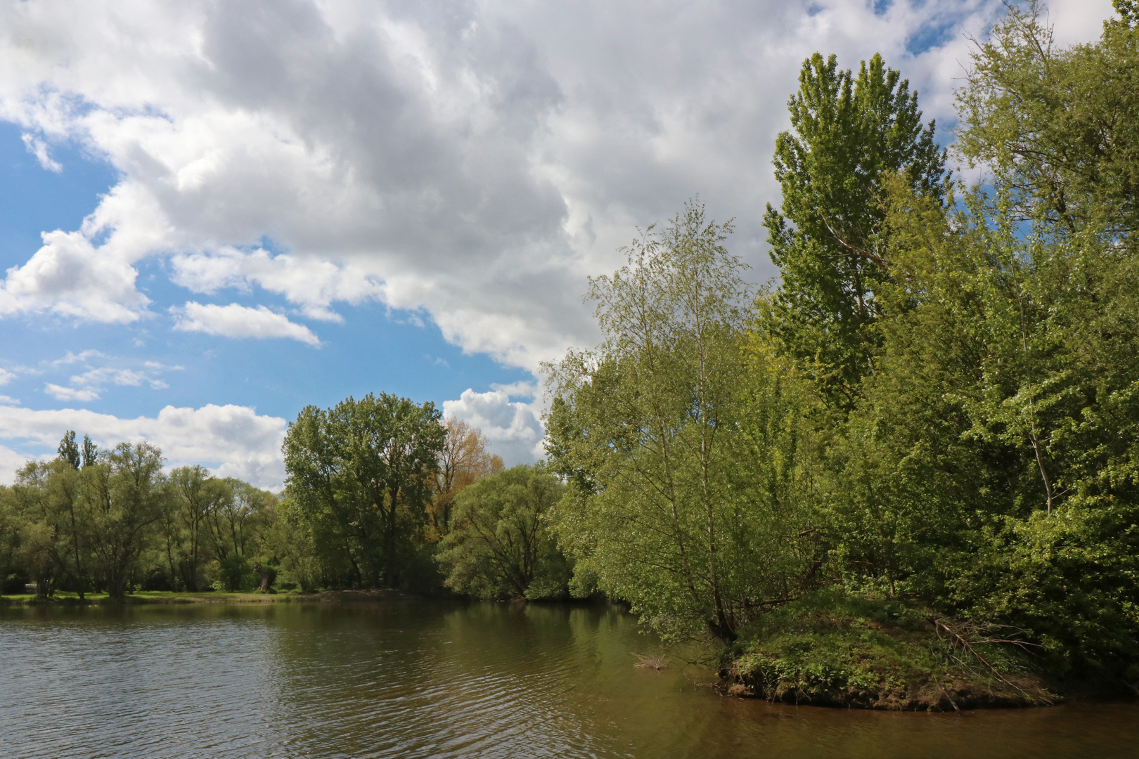 Die Insel im See