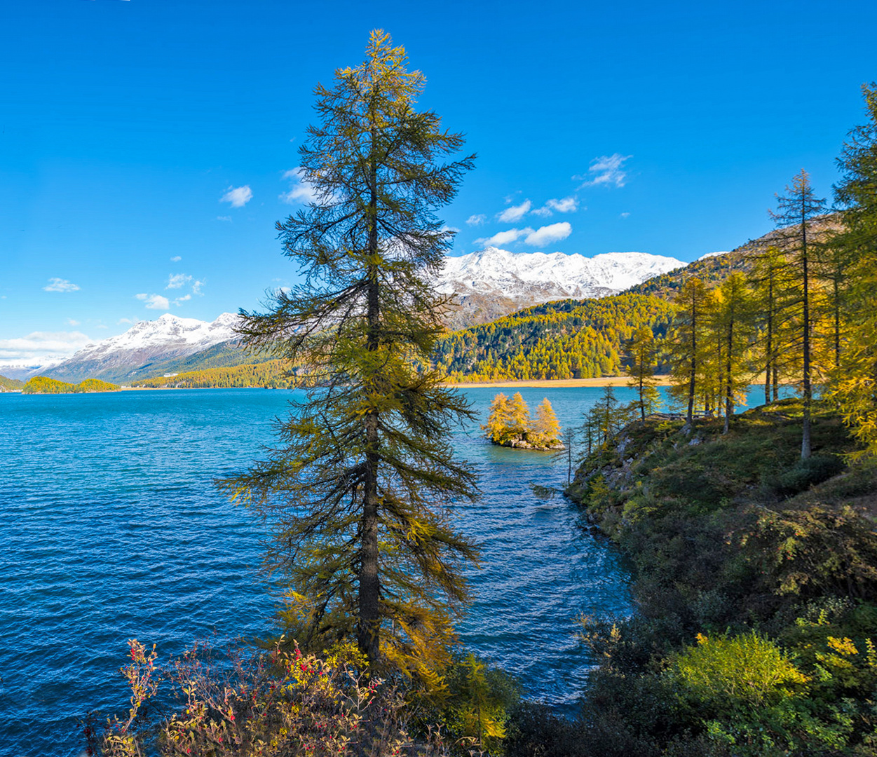 Die Insel im Silsersee