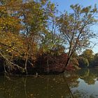 Die Insel im Südteich