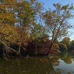 Die Insel im Südteich