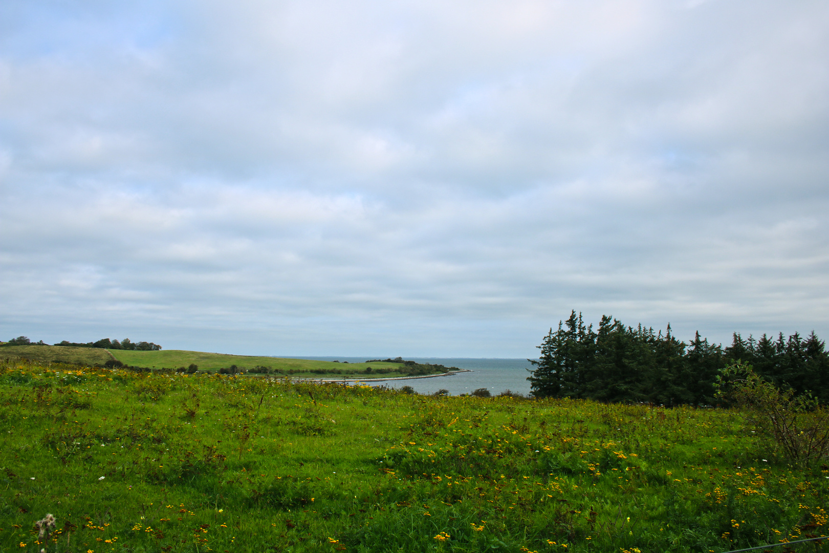 Die Insel Nekselö