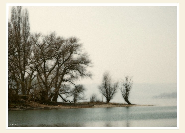 Die Insel Reichenau