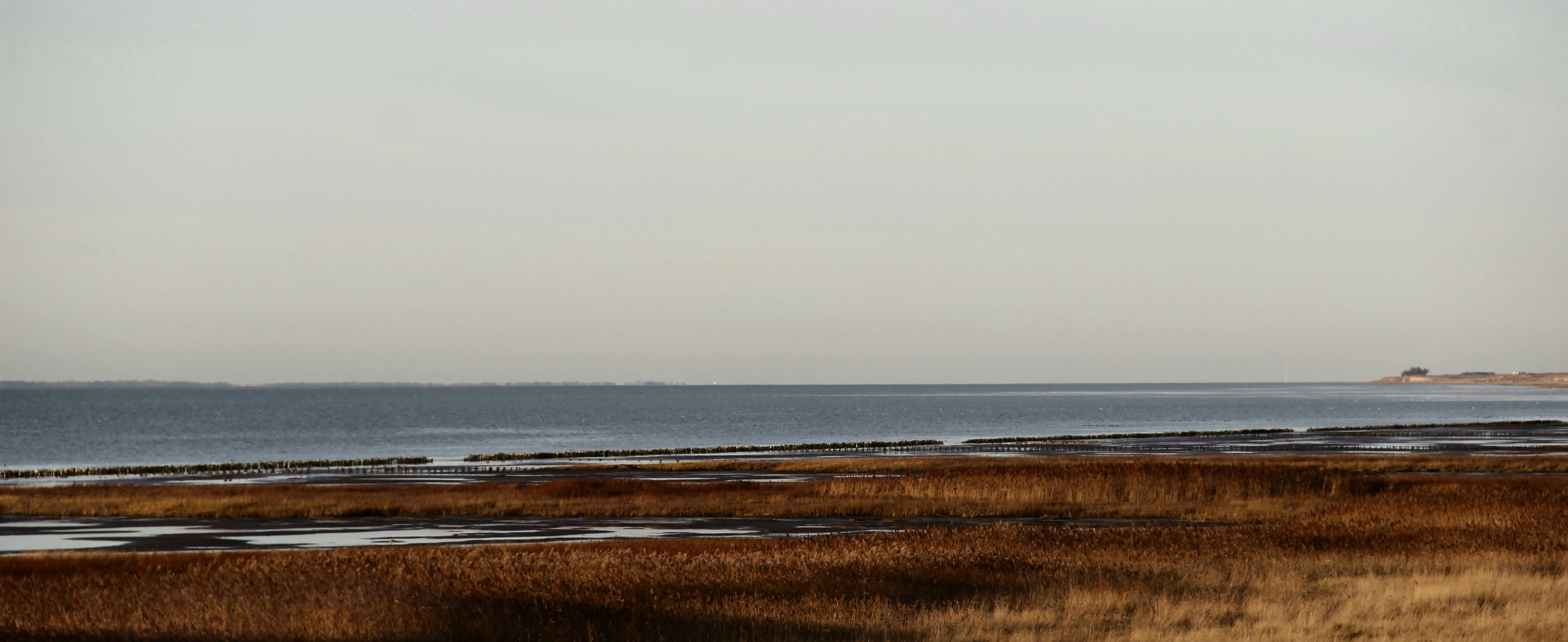 ...die Insel Rømø/DK in Sicht