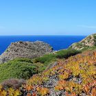 Die Insel San Pietro bei Sardinien