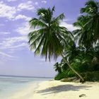 Die Insel Saona