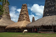 Die Insel Sumba