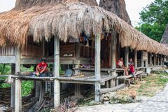 Die Insel Sumba