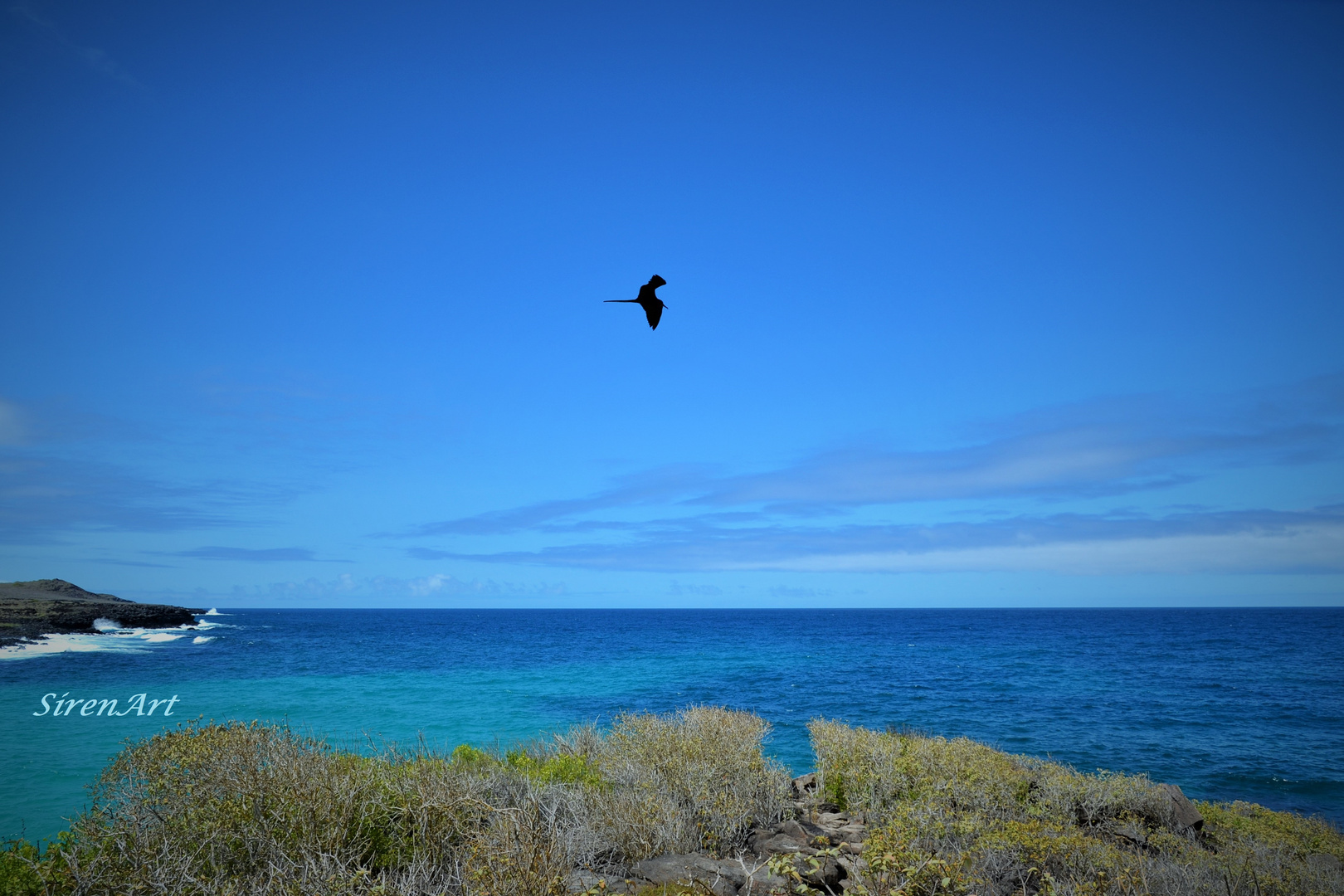 Die Insel und ich Foto & Bild south america, ecuador, galapagos