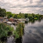 Die Insel Werder an der Havel