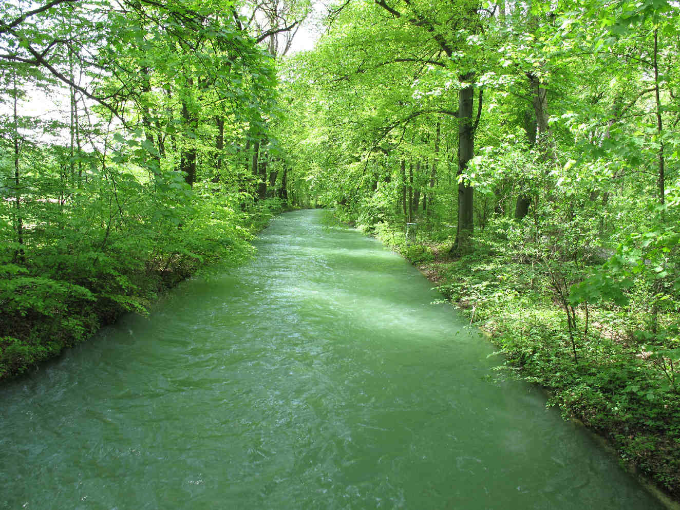 die Isar, der grüne Fluß