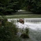 Die Isar in München