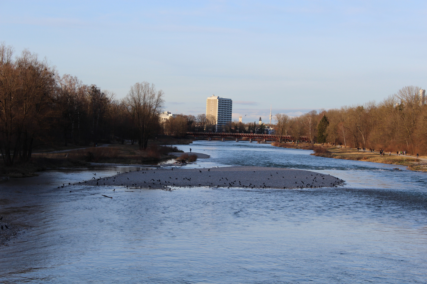 Die ISAR mit Rabenkrähen