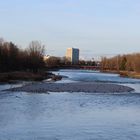 Die ISAR mit Rabenkrähen