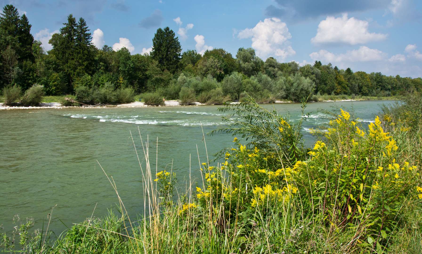 Die Isar zwischen Grosshesseloher Brücke und Tierpark Hellabrunn (1)