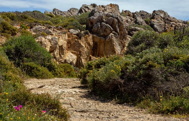 Die Isla Santa Maria im Maddalena-Archipel.....