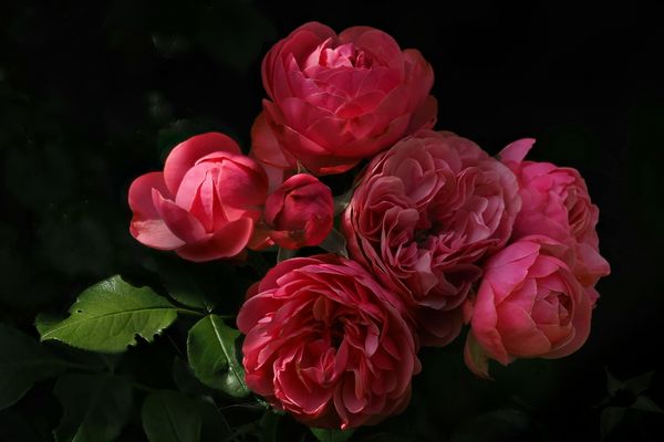 Die ist nicht davongeflogen