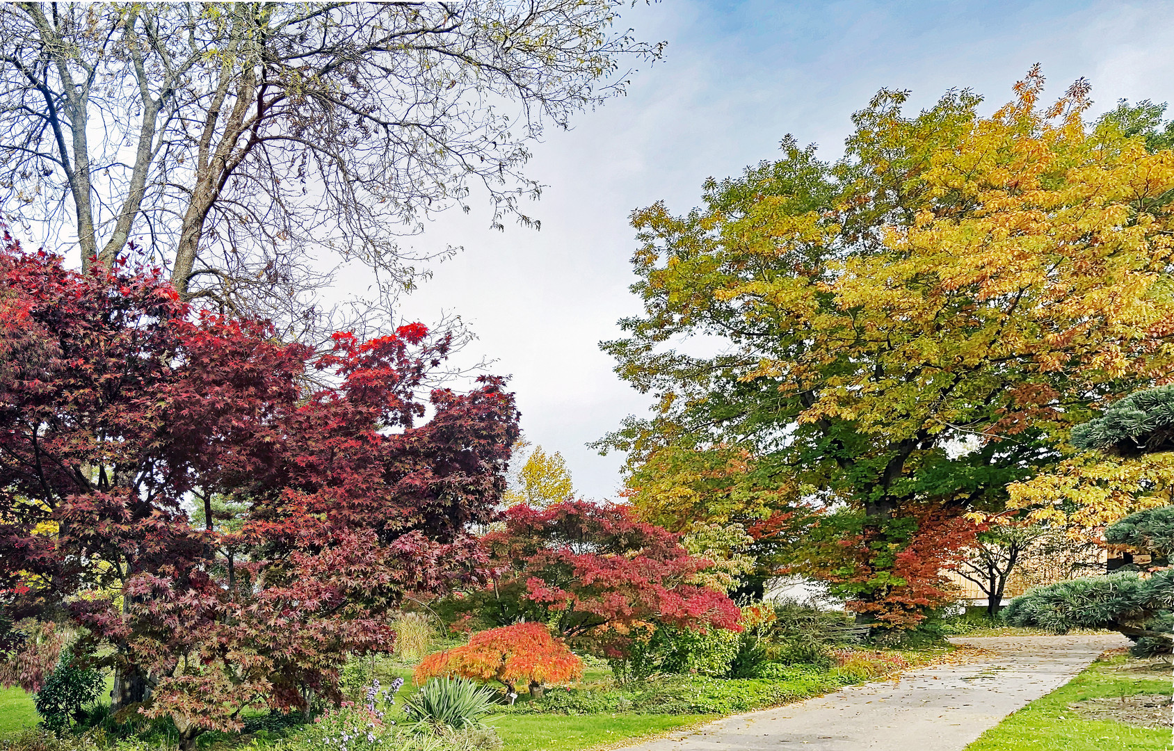 Die jährliche Herbstfarben- Explosion