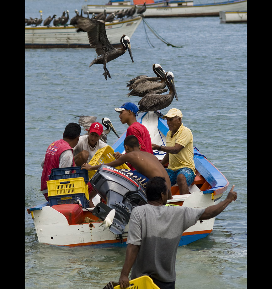 Die Jagd auf die kleinen Fische