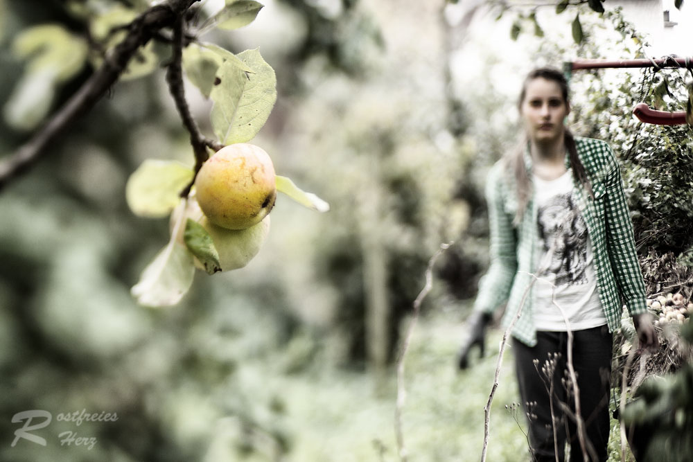 Die Jahreszeit zwischen Sommer und Winter...