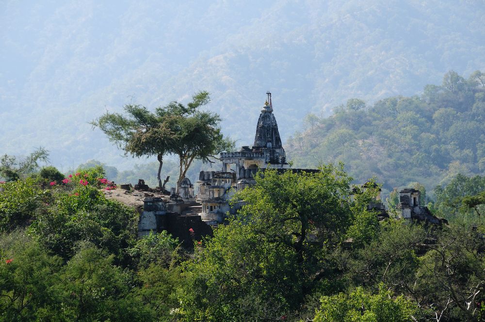 Die Jain Tempel von Ranakpur ...