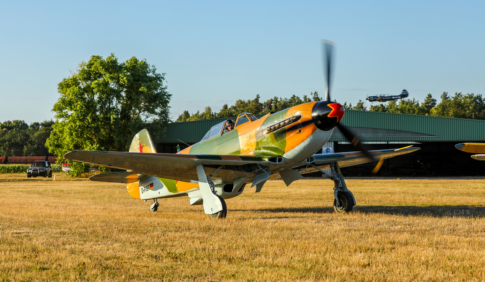 Die Jak auf der Farm I