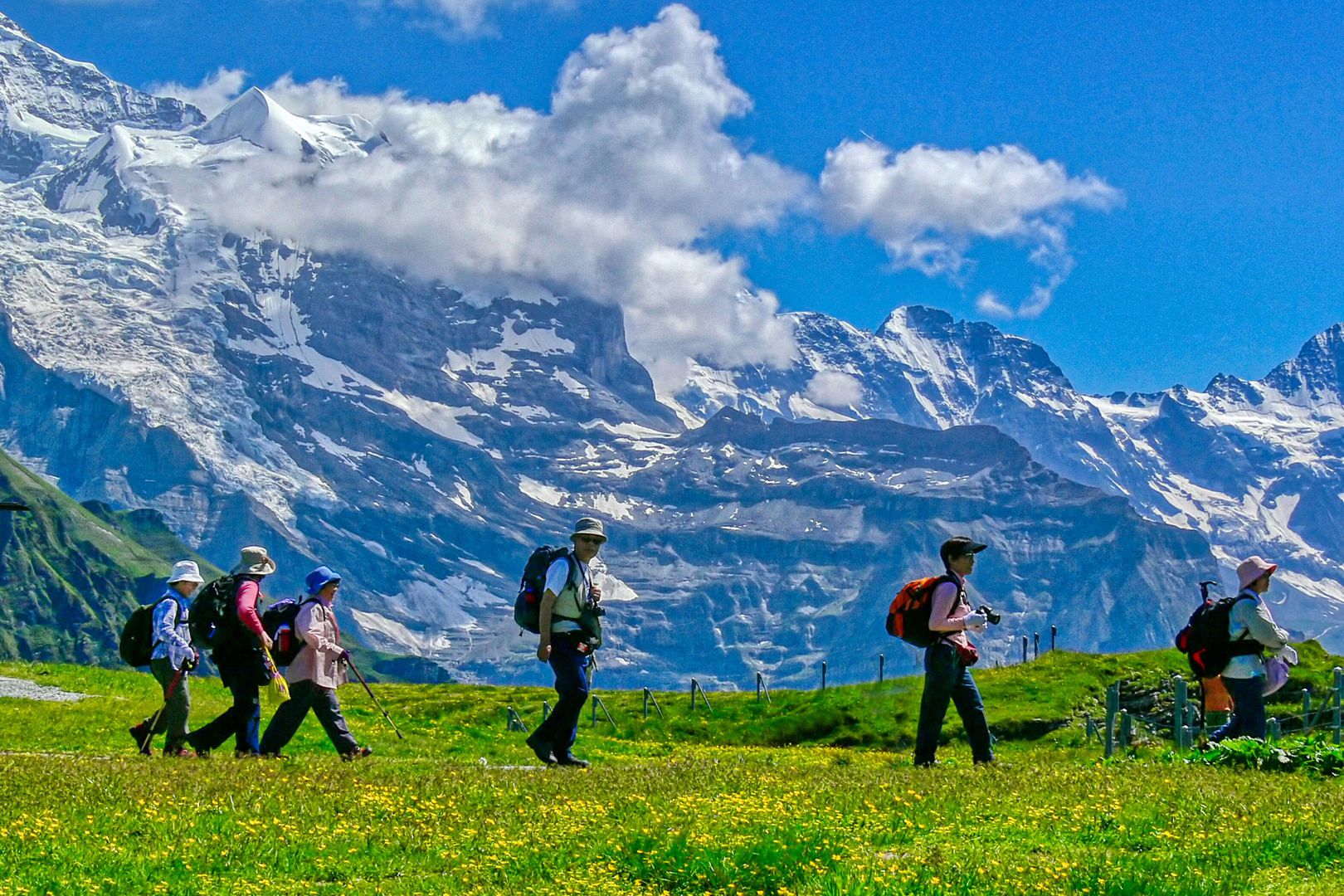 Die Japaner am Panoramaweg Männlichen Scheidegg