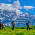 Die Japaner am Panoramaweg Männlichen Scheidegg