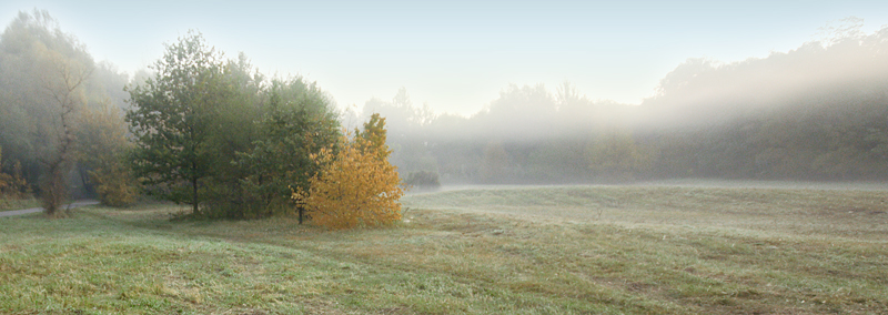 Die Jogger sind schon unterwegs